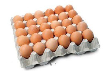 بيض طازج احمر طبقه