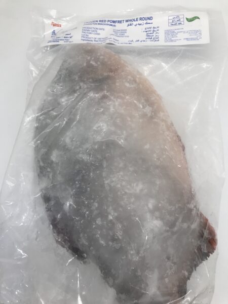 سمك زبيدي نهري 800g