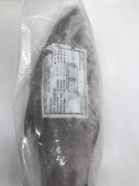 سمك كارب وسط 1500g