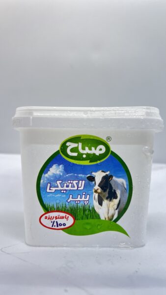 جبن عرب صباح علبه