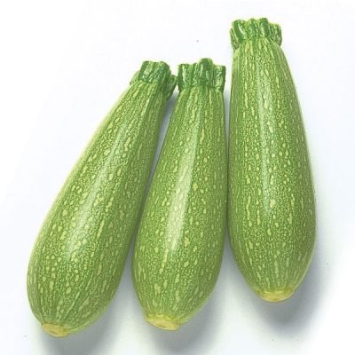 كوسه(شجر) ١كغم