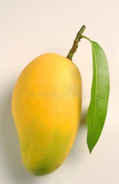 مانجو مصري ١كغم